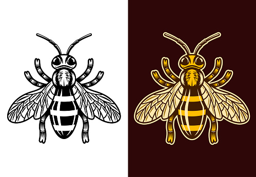 Honeybee two styles black on white and colorful on dark background vector illustration