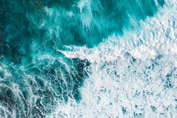 istock Big ocean waves hitting a coral reef. View from above. 1269817244