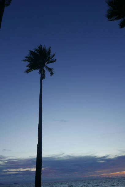 istock Truk stop hotel in Truk lagoon, Chuuk 1269817857