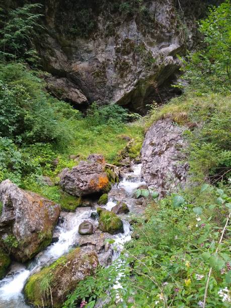 istock little creek in mountains 1269821374