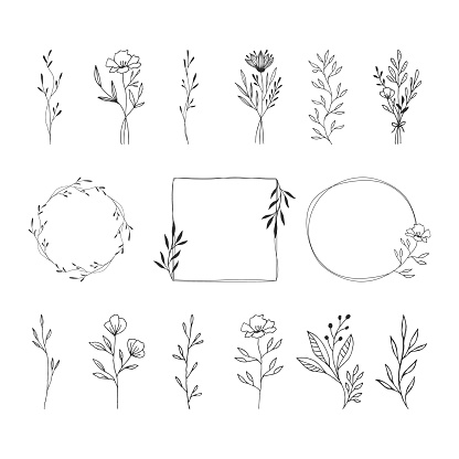 Summer floral frames, borders, design element. Flowers, leaves, herbs, bouquets. Vector isolated illustration.