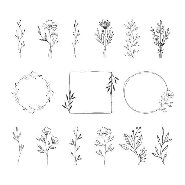 Summer floral frames, borders, design element. Flowers, leaves, herbs, bouquets. Vector isolated illustration. Summer floral frames, borders, design element. Flowers, leaves, herbs, bouquets. Vector isolated illustration. floral patterns stock illustrations