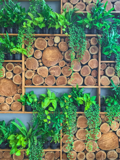 istock Green Plant and stack of wood on wall background. 1269826467