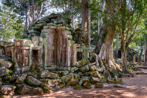 istock Ta Prohm temple at Angkor Wat complex, Siem Reap, Cambodia 1269826644