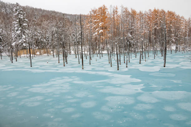 istock Blue pond in winter in Biei 1269826763