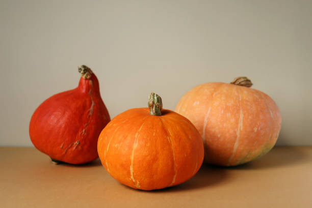 istock Pumpkins poster. Three different edible gourd 1269830054