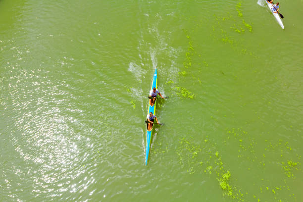 Zrenjanin, Vojvodina, Serbia - August 17, 2019:       Above view on young rowers who have a competition in rowing kayaks on the river.