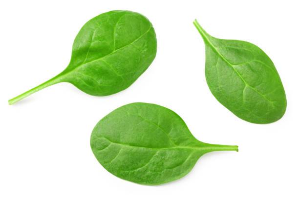 istock spinach leaves isolate on white background. Healthy food. Top view. 1269839943