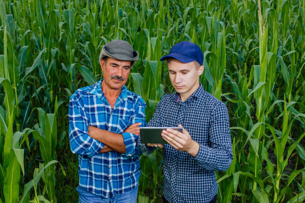 istock Farming industry of two farmers using a tablet PC, front view on modern farmers with digital tablet, Farmers and Technology,  farmers in corn field using digital tablet, 1269841247