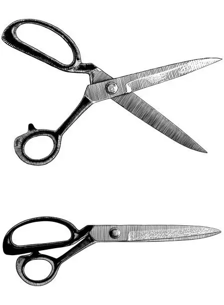 Vector illustration of Drawing of closed and opened scissors