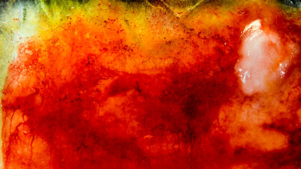 istock Ice plate melting. Red-yellow. 4k 1269841616
