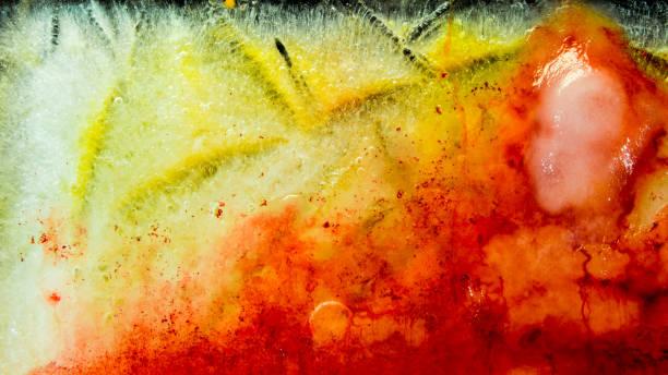 istock Ice plate melting. Red-yellow. 4k 02 1269841711