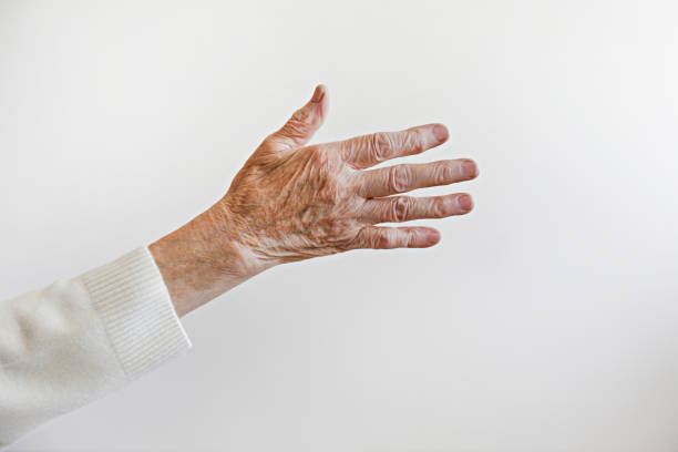Cropped shot of elderly female's hands. Cropped shot of elderly woman's hand over isolated white background. Wrinkled palm of unrecognizable senior lady. Close up, copy space for text. old hands stock pictures, royalty-free photos & images