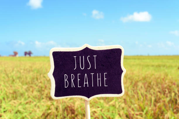 istock signboard with the text just breathe in a peaceful landscape 1269850060