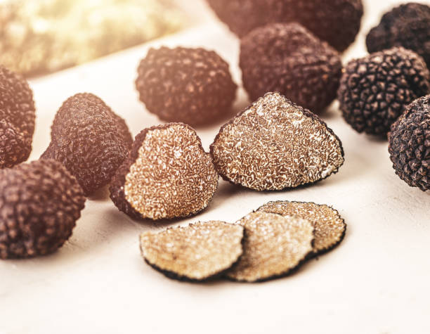 istock Summer black truffle mushrooms 1269851727