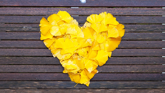 Golden yellow heart shape with gingko biloba leafs