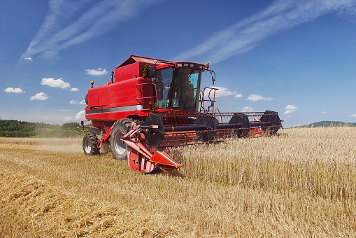 Red harvester harvesting grain on field, blue sky
