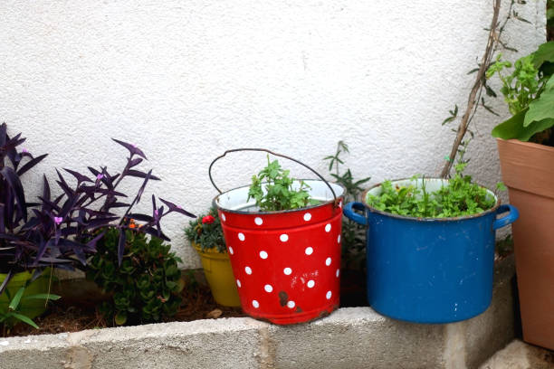 istock Vintage Plant Pots 1269857875