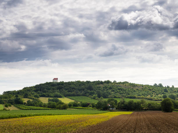 The small village of Jeruzalem in the famous wine-growing region of Prlekija in northern Slovenia.