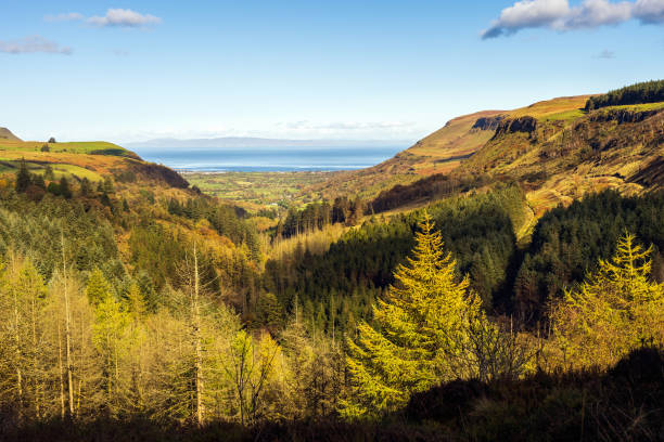 Panoramic view on the valley of Glenariff Forest Park in autumn colours Panoramic view on the valley of Glenariff Forest Park in autumn colours with Scotland shore in far distance, Count Antrim, Northern Ireland glenariff photos stock pictures, royalty-free photos & images