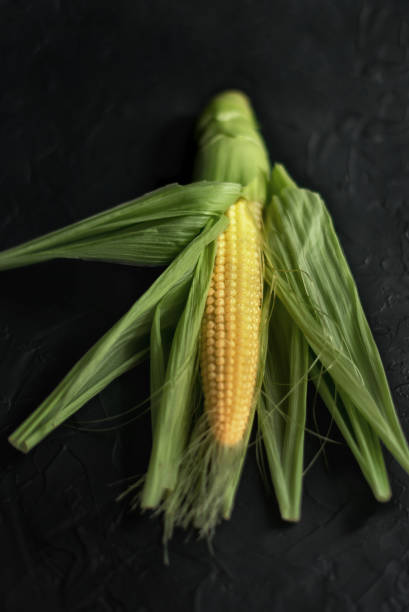 Fresh corn on the cob with seeds on concrete background