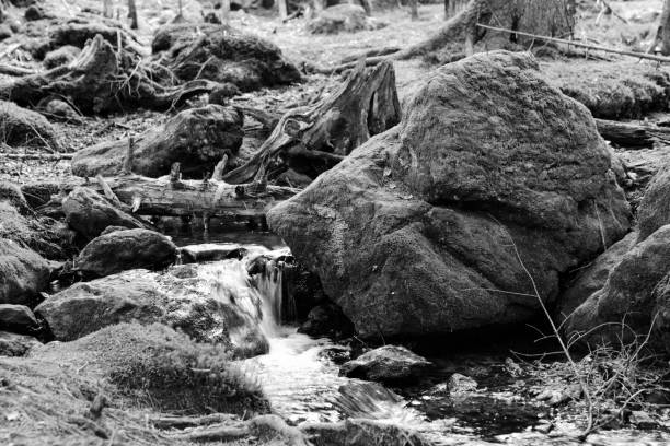 istock Black and white portrait of waterfall in forest 1269860053