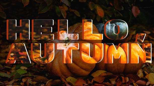istock Hello, Autumn. Postcard with pumpkins and autumn leaves 1269860273