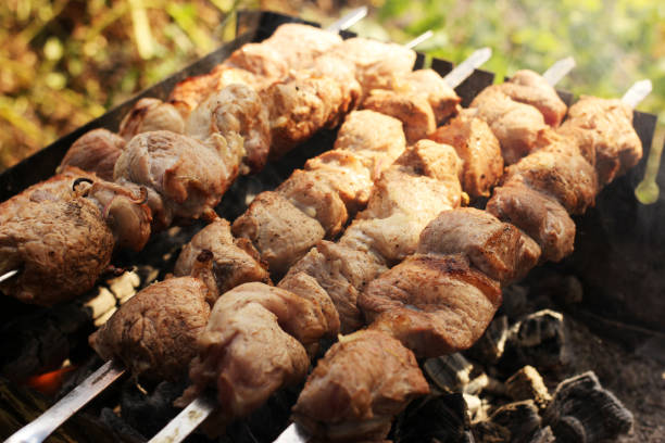 istock pork shish kabobs on the grill 1269863227