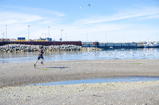 Boy running after seagulls on shore of St. Lawrence river in Gaspesie (Les Mechins) during summer day