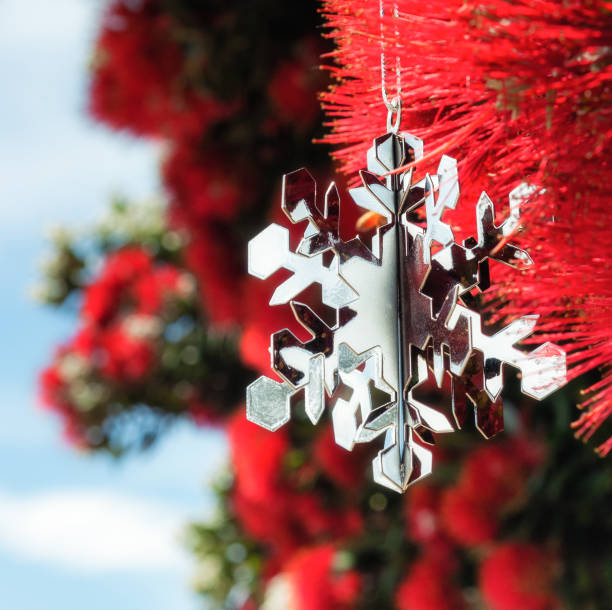 istock Christmas decoration in Pohutukawa Tree 1269867171