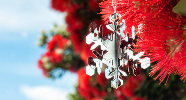 istock New Zealand Christmas 1269867694