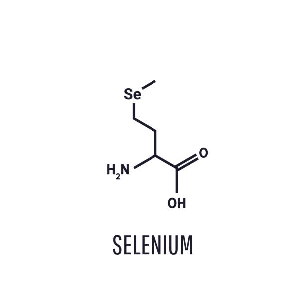 illustrazioni stock, clip art, cartoni animati e icone di tendenza di la selenomethionina è un selenio presente in natura - contenente amminoacido. l-enantiomer, illustrazione vettoriale isolata su sfondo bianco - se square