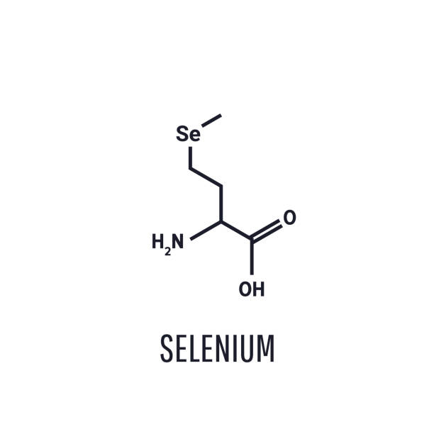 セレノメチオニンは天然に存在するセレン - アミノ酸を含む。l-エランティオマー、白い背景に分離されたベクターイラスト - se square点のイラスト素材／クリップアート素材／マンガ素材／アイコン素材