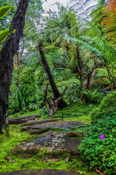 istock A landscape garden forest style 1269876259