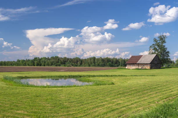 istock Pond among the green agricultural fields 1269876856