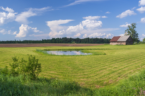 Pond among the green agricultural fields