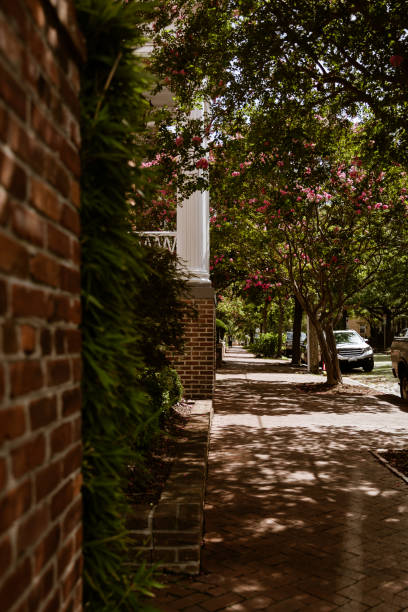 istock Morning walk in Freemason District (historical neighborhood) brick sidewalk gates covered in ivy 1269878597