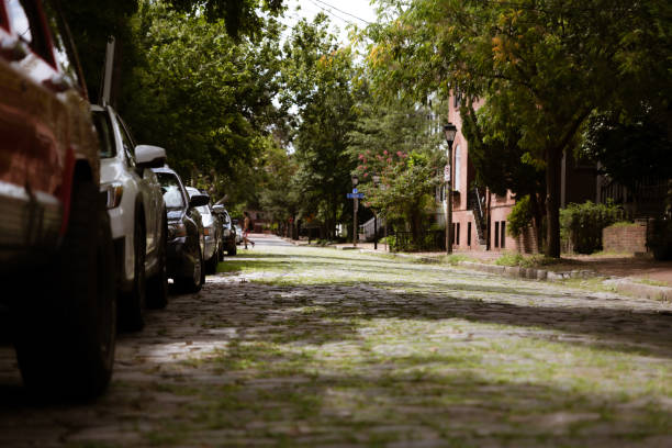 istock Morning walk in Freemason District (historical neighborhood) brick sidewalk gates covered in ivy 1269878726