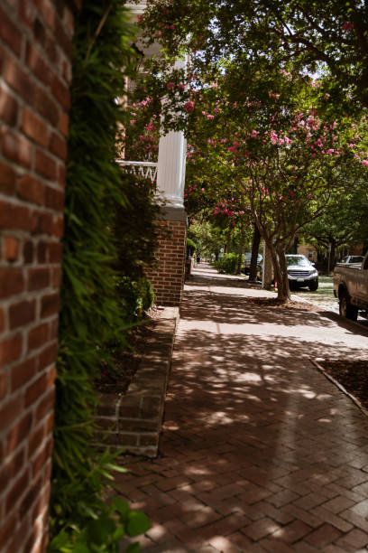 istock Morning walk in Freemason District (historical neighborhood) brick sidewalk gates covered in ivy 1269878728