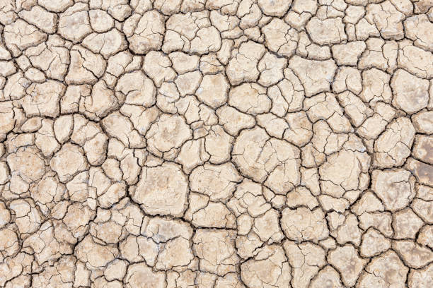 istock Brown dry soil or cracked ground texture background. 1269879840