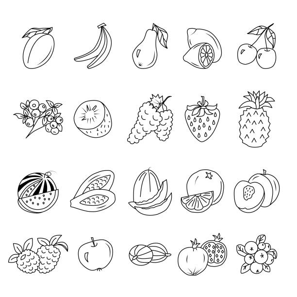 owoce i jagody edytowalne kreskowe doodle - raspberry gooseberry strawberry cherry stock illustrations