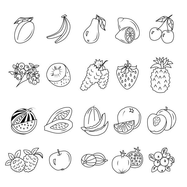 фрукты и ягоды редактируемые stroke doodles - raspberry gooseberry strawberry cherry stock illustrations
