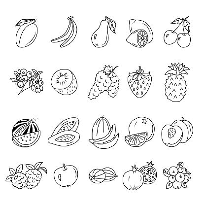 Fruits and Berries Editable Stroke Doodles. Vector illustration.