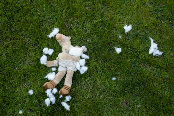 istock disemboweled plush toy 1269882026