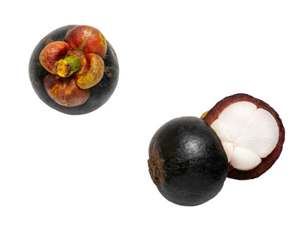istock Fresh mangosteen isolated on white 1269884590