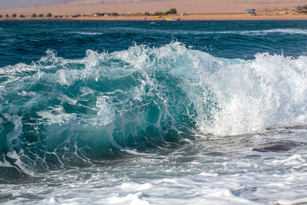 A scenic shot of a waves rolling in from the lake. Shallow depth of field. Shot with a Canon 5D Mark IV.