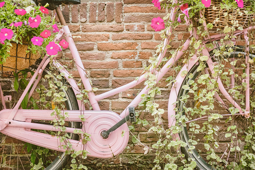 Retro pink woman bicycle with blooming flowers and basket in front of an old stone wall