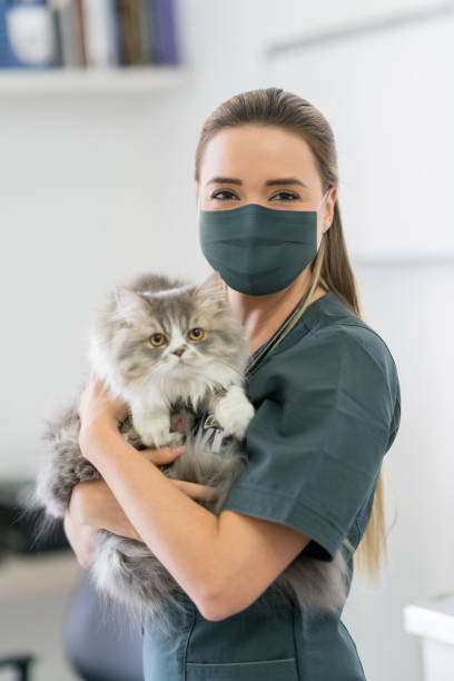istock Veterinarian wearing a facemask at the clinic while holding a cat 1269894080