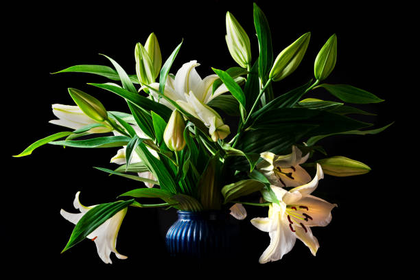 istock Lush bouquet of white lilies 1269895370
