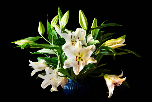 istock Lush bouquet of white lilies 1269895423